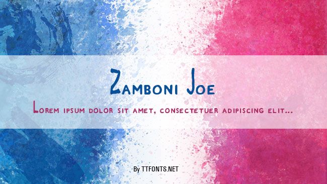Zamboni Joe example